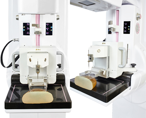 esterotaxia-Digimamo-TM1