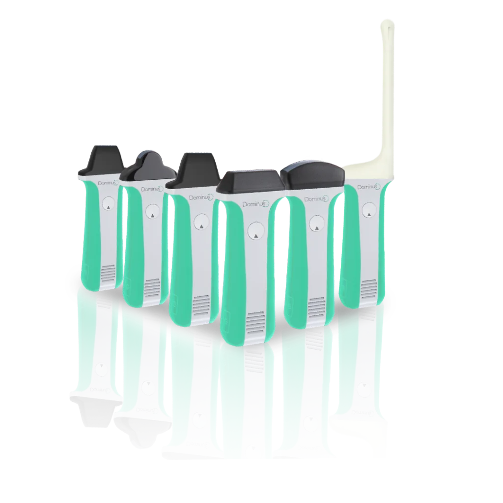 linha-dominus-1-1024x1024